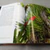 Volume TILLANDSIA