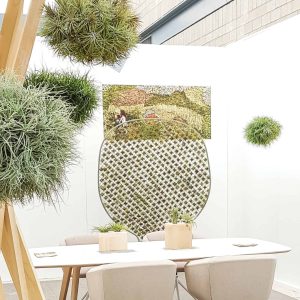 Tillandsia WALL biophilic design