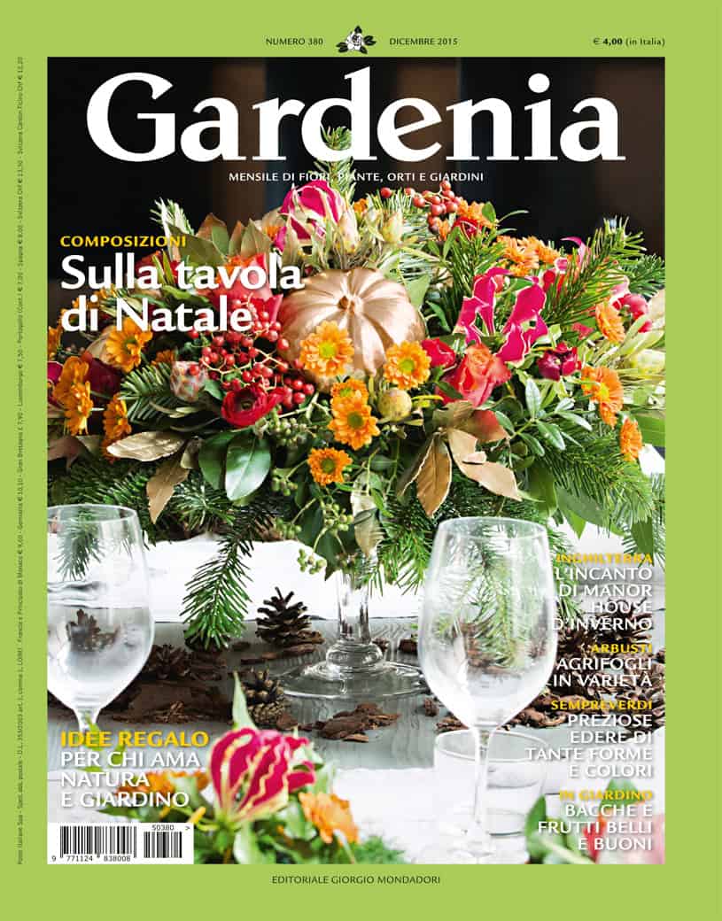 gardenia_dicembre15
