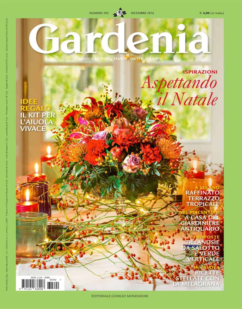 gardenia_dicembre16_6