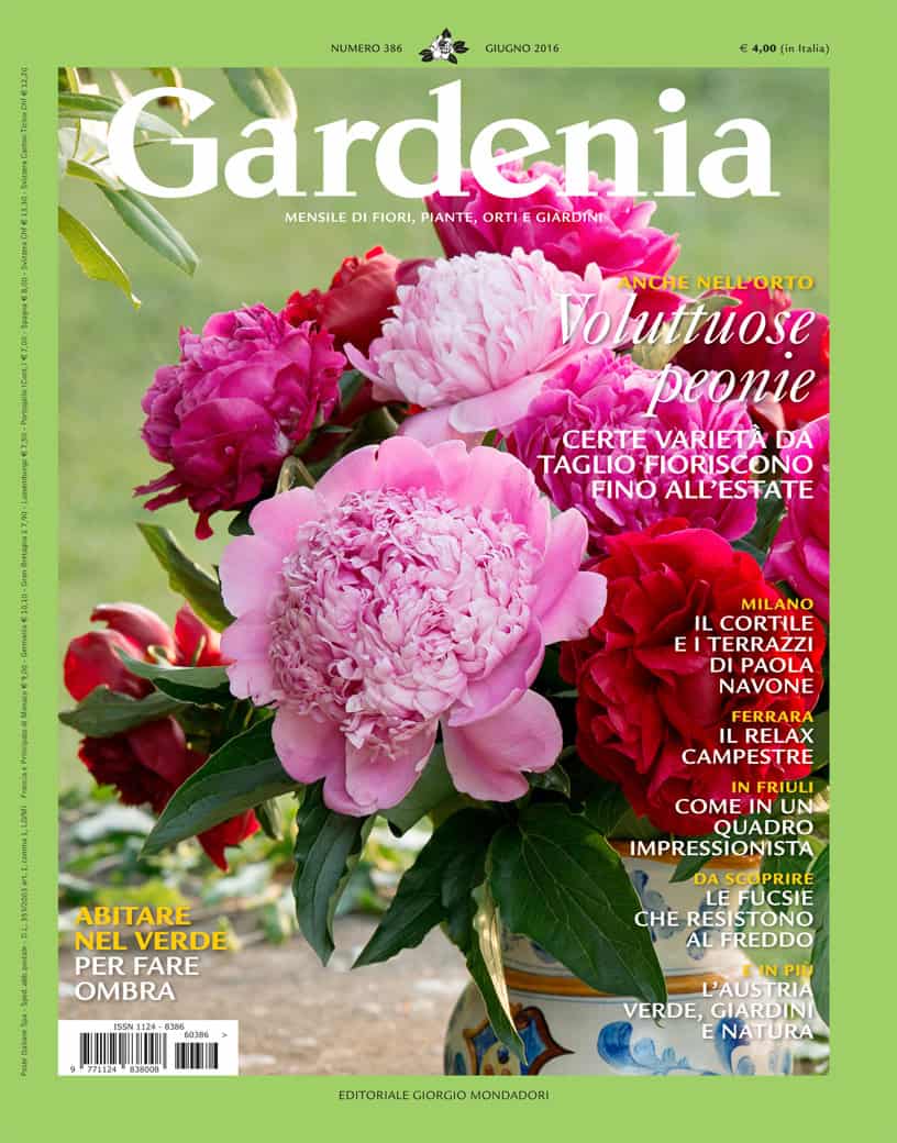 gardenia_giugno16_4